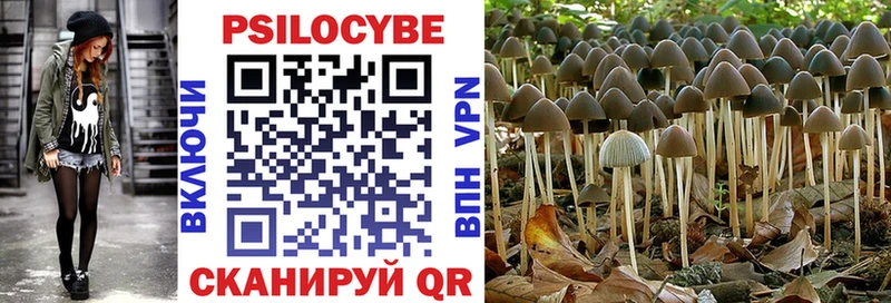 Галлюциногенные грибы Magic Shrooms  цена наркотик  мега ССЫЛКА  Братск 