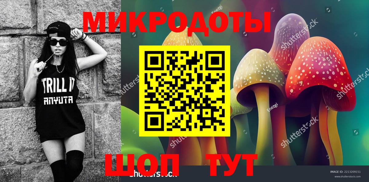 Псилоцибиновые грибы Psilocybine cubensis  купить наркотики сайты  Братск 