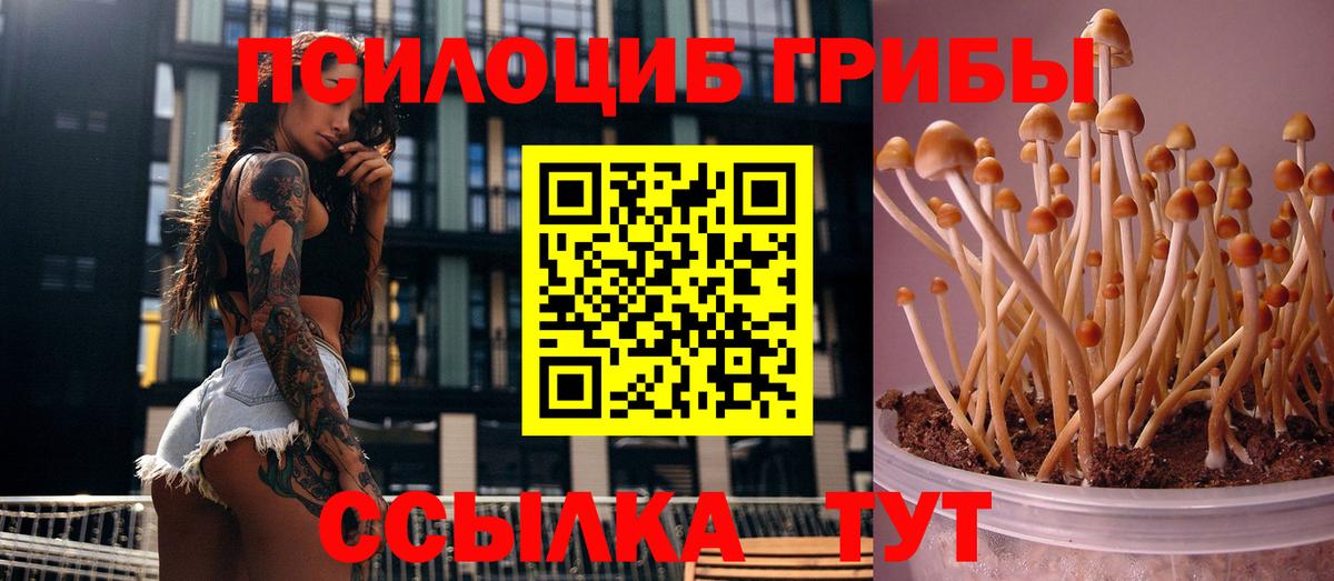 Братск  Псилоцибиновые грибы MAGIC MUSHROOMS  Галлюциногенные грибы мицелий  Вход с VPN 