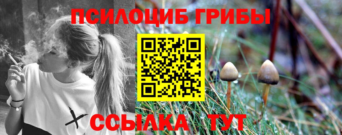 Галлюциногенные грибы Magic Shrooms Братск